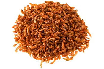 Gammarus frystorkad lösvikt
