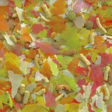 Tropical Pond Mix  Flake 1000 ml Lösvikt - 2
