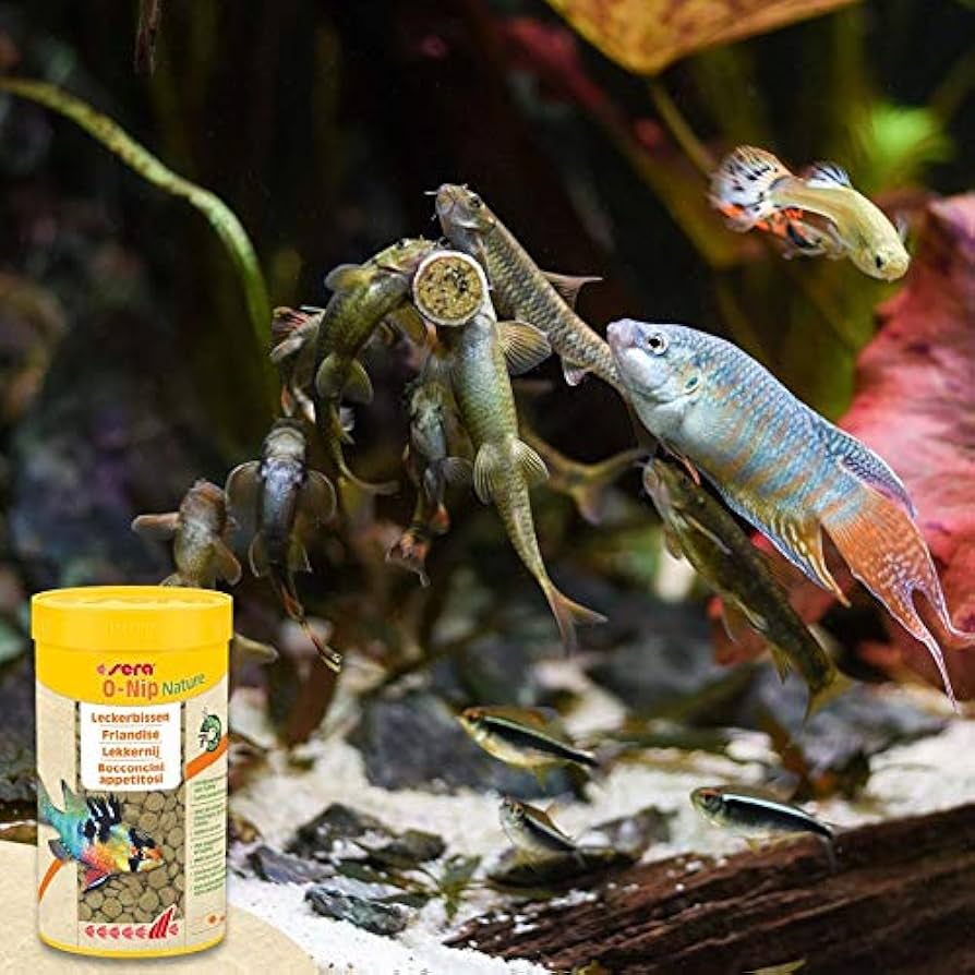 SERA O-NIP NATURE  LÖSVIKT - 2