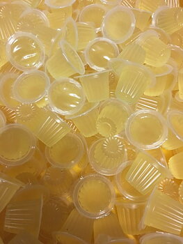 Beetle jelly Honey