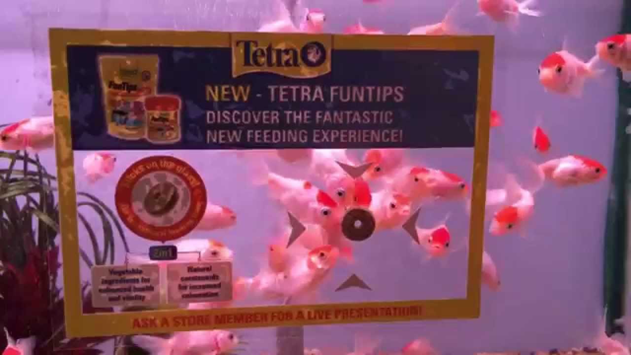 TETRA FUN/TIPS 110 Tabletter Lösvikt - 4