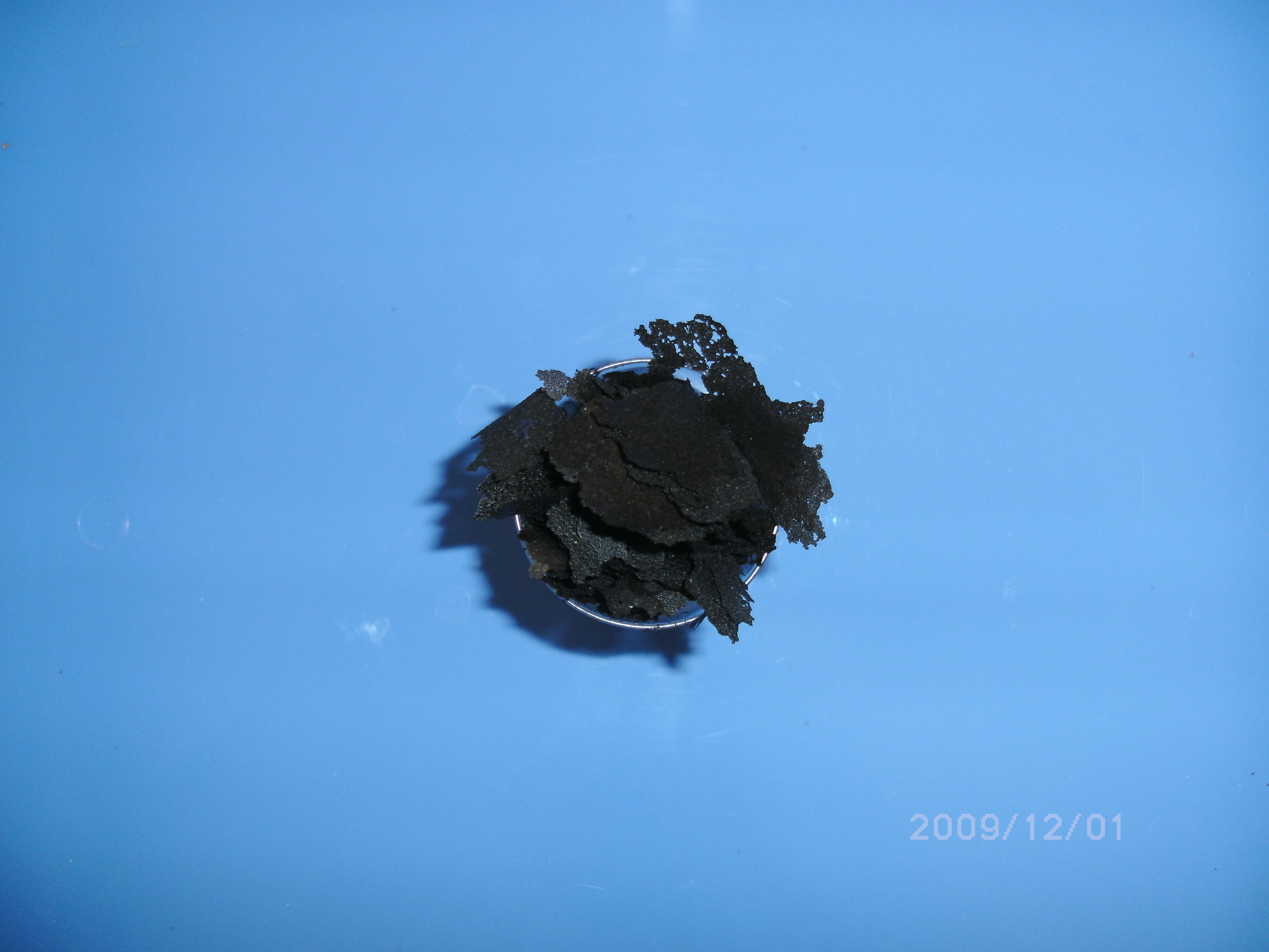 Black Brineshrimp