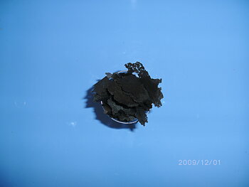 Black Brineshrimp