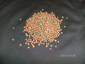 Ciklid pellets Red&Green 6,0mm Lösvikt