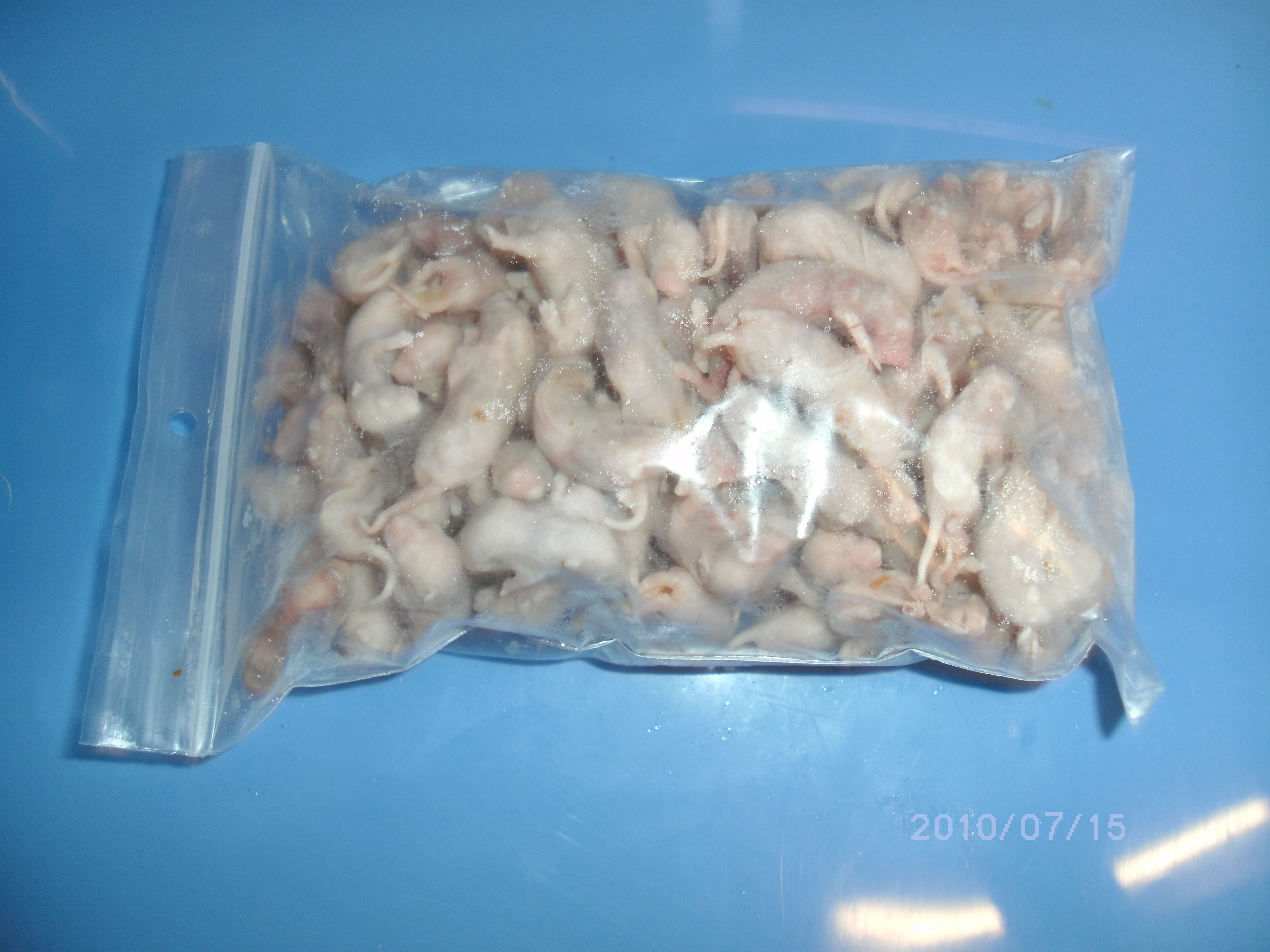 Muspinkis XL 25st