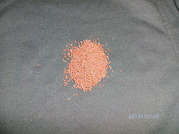 Ciklid pellets 1,0mm Lösvikt