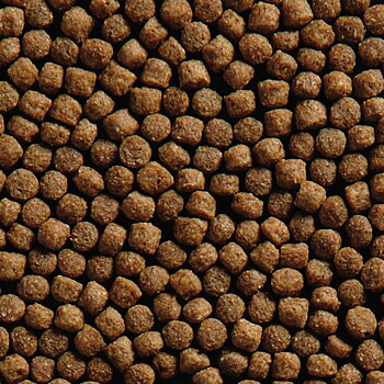 Ciklid pellets 3,0mm Lösvikt