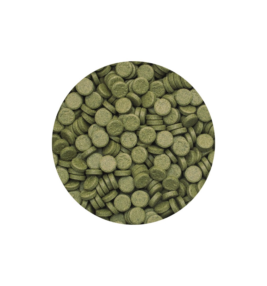 Tropical 3-Algae Tablets A  Lösvikt - 2