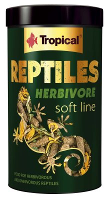 TROPICAL SOFT LINE REPTILES HERBIVORE