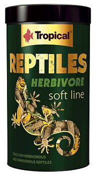 TROPICAL SOFT LINE REPTILES HERBIVORE