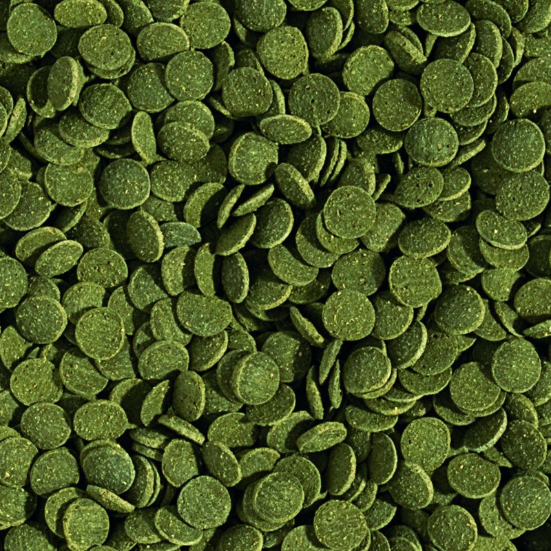 Tropical Mini Wafers Spirulina Lösvikt