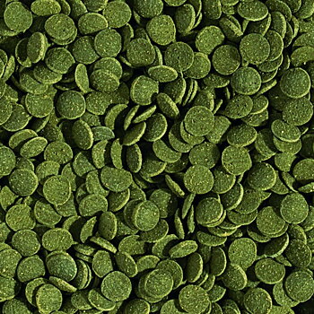 Tropical Mini Wafers Spirulina Lösvikt