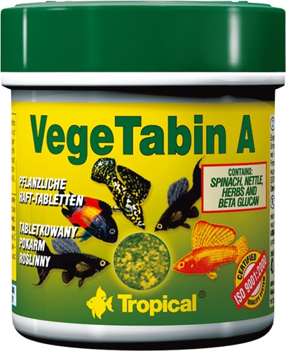 Tropical VegeTabin A Lösvikt - 2