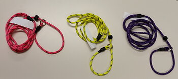 Repkoppel, koppel och halsband, allt-i.ett, med invävd reflex