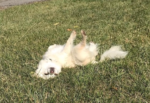 Förband och sårvård  Var beredd med förband