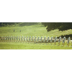  Halmtavla 85 cm - 2