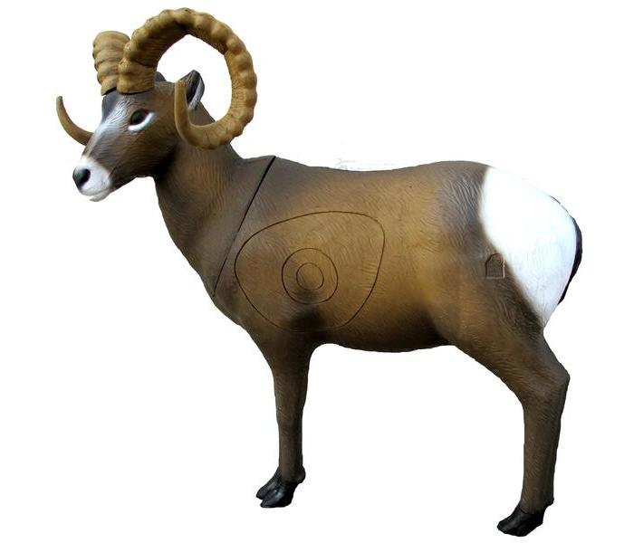 SRT Target 3D Rocky Mountain Sheep