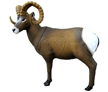 SRT Target 3D Rocky Mountain Sheep
