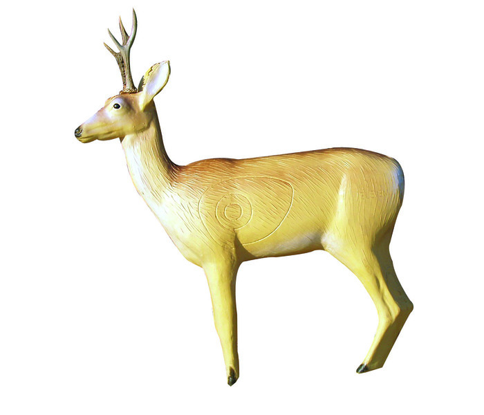 Eleven Target 3D Deer with Horns