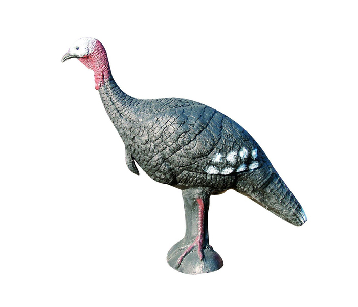 Eleven Target 3D Turkey
