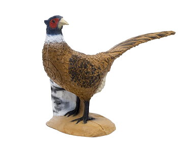  SRT Target 3D Pheasant