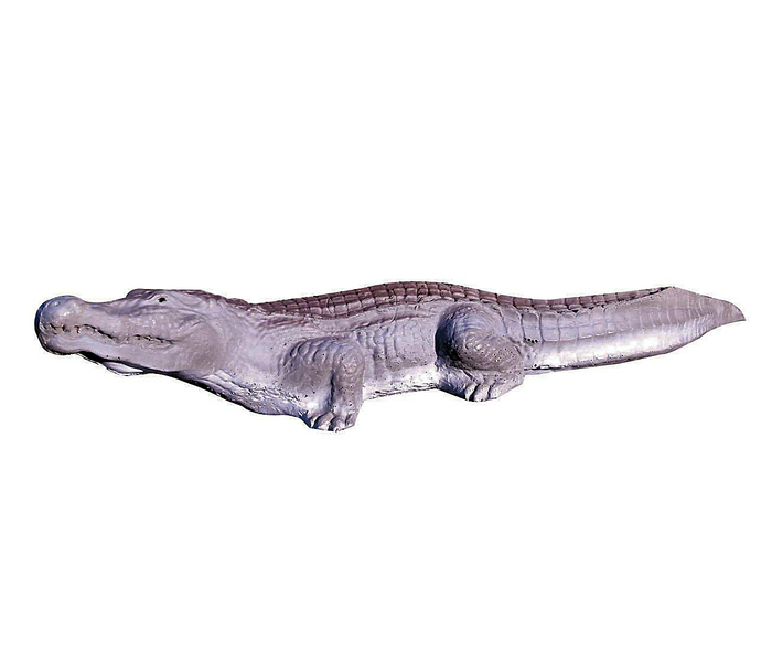 Eleven Target 3D Crocodile