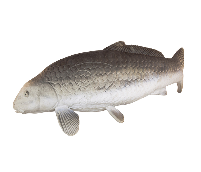 Eleven Target 3D Carp - 2
