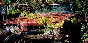 1969 Oldsmobile Delta 88 Convertible