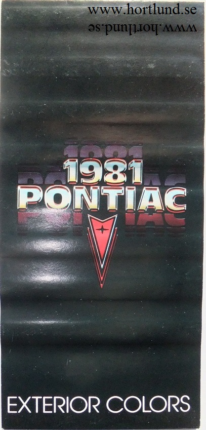 1981 Pontiac Exterior Colors