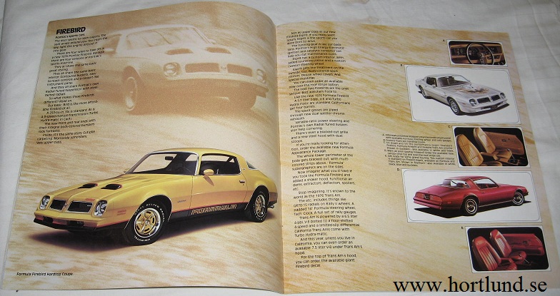 1976 Pontiac broschyr stor alla modeller - 2
