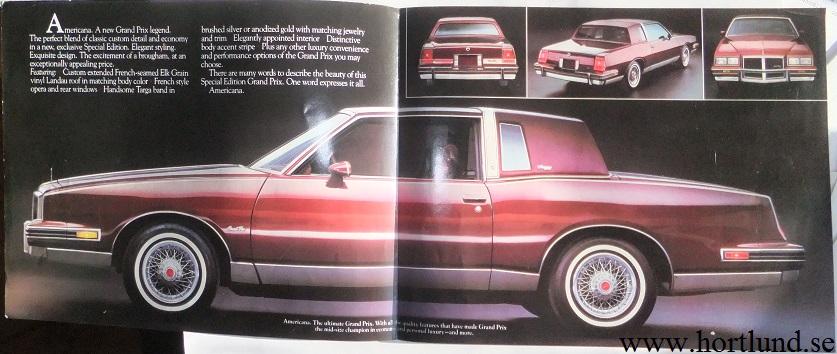 1981 Pontiac Grand Prix Americana broschyr - 2