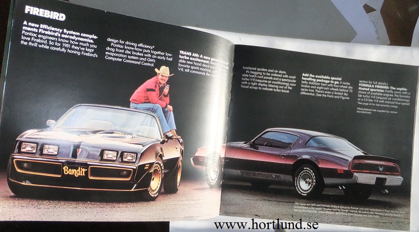 1981 Pontiac Lyx broschyr alla modeller - 2