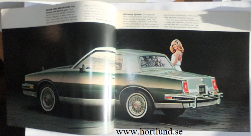 1981 Pontiac Lyx broschyr alla modeller - 2