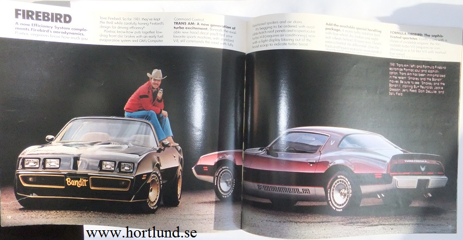 1981 Pontiac Lyx broschyr alla modeller - 3