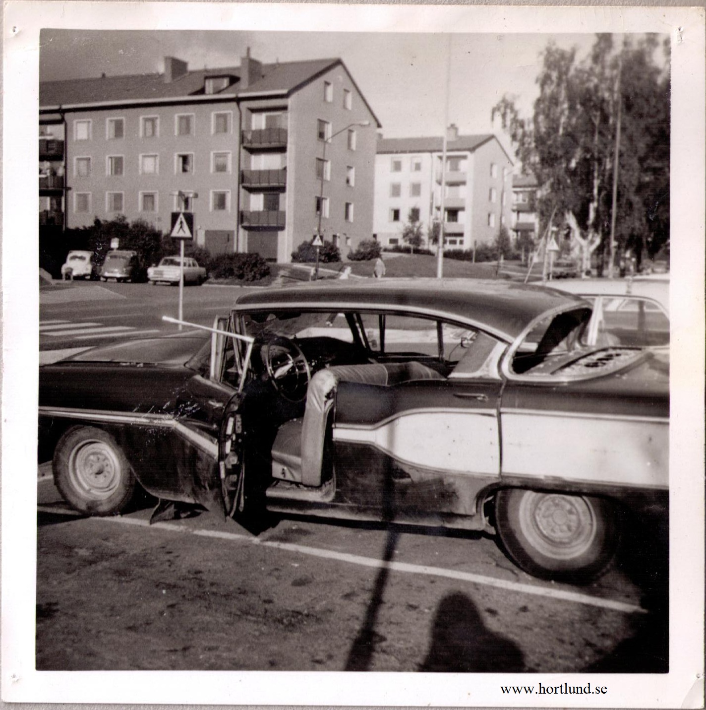 Fjortisar - 6
