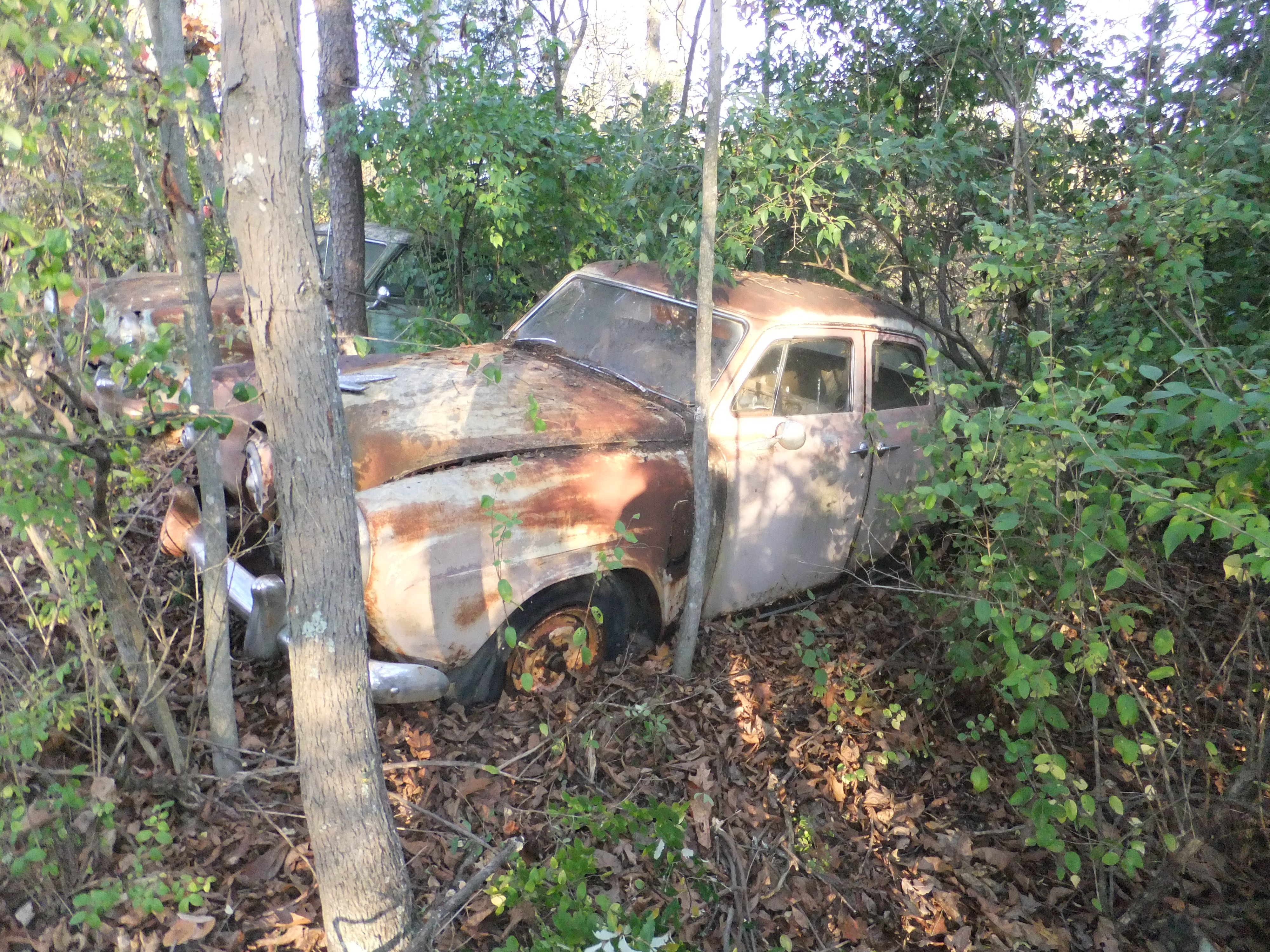 1951 Studebaker Champion 4-Door Sedan - 2