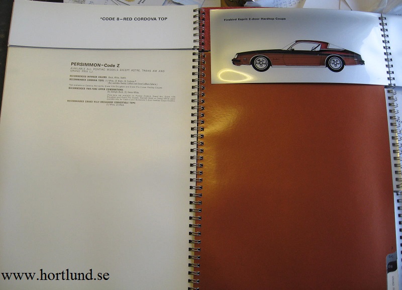 1975 Pontiac Color and Interiors Album - 3