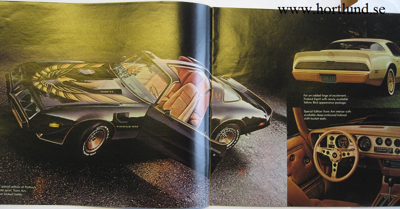1980 Pontiac alla modeller broschyr - 2