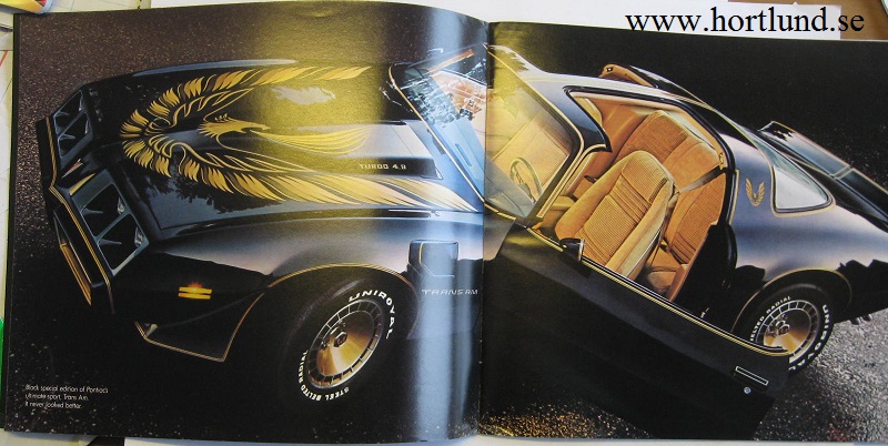 1980 Pontiac alla modeller lyxbroschyr - 2
