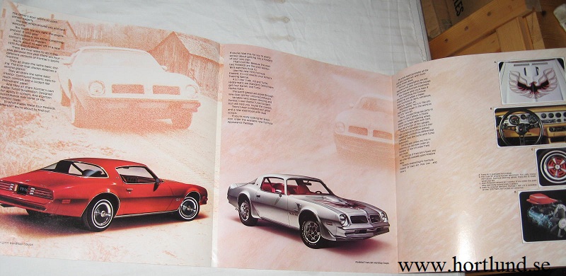 1976 Pontiac Firebird broschyr - 2