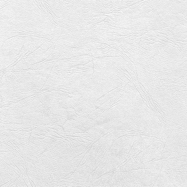 Kartongomslag läderimitation - A3, 235 g/m² - 2