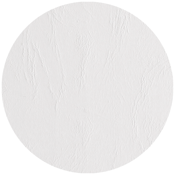Kartongomslag läderimitation - A4, 270-300 g/m² - 2