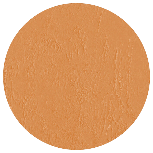 Kartongomslag läderimitation - A4, 270-300 g/m² - 8