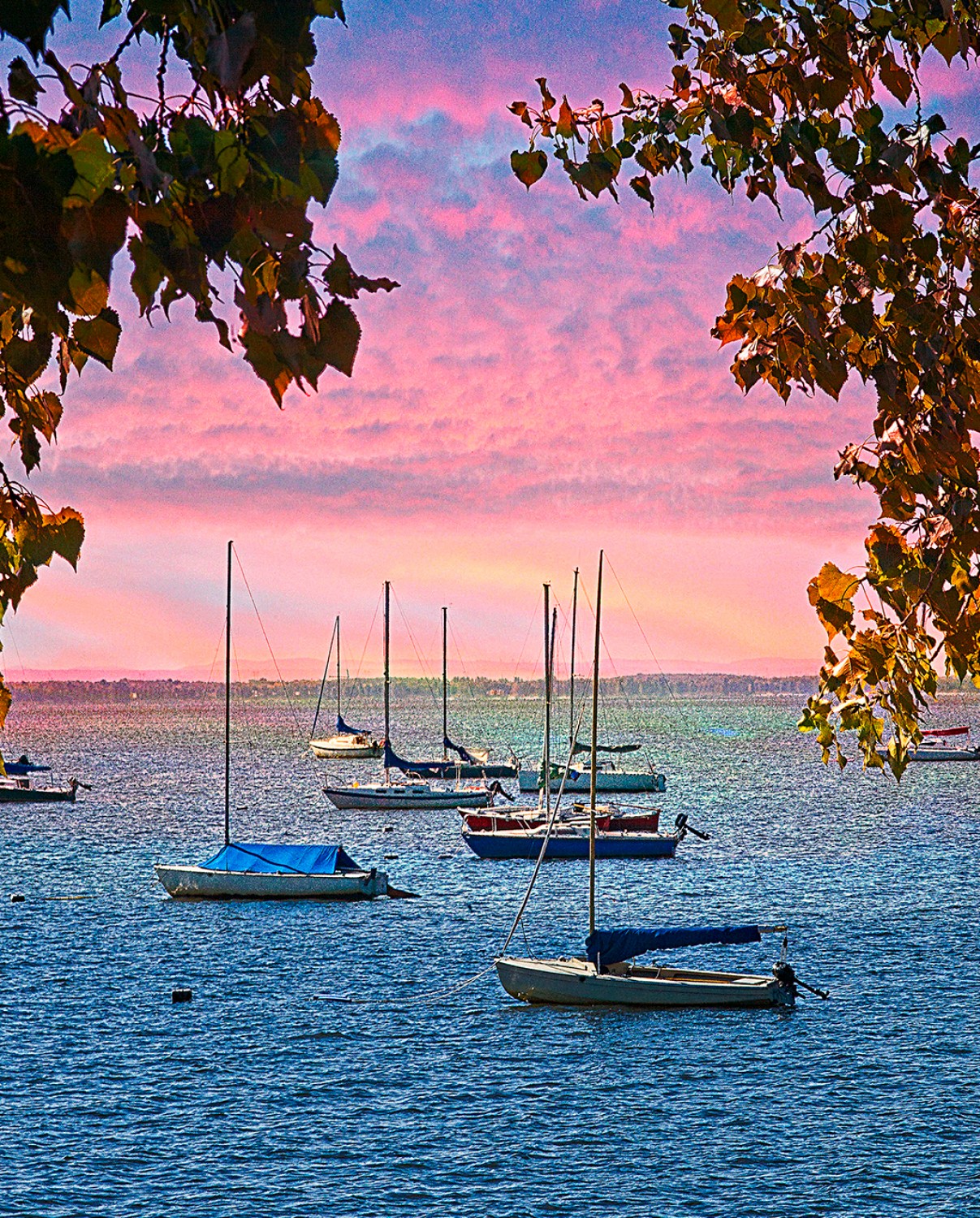 Sailboats at Dawn Digital Panel 36in x 43in