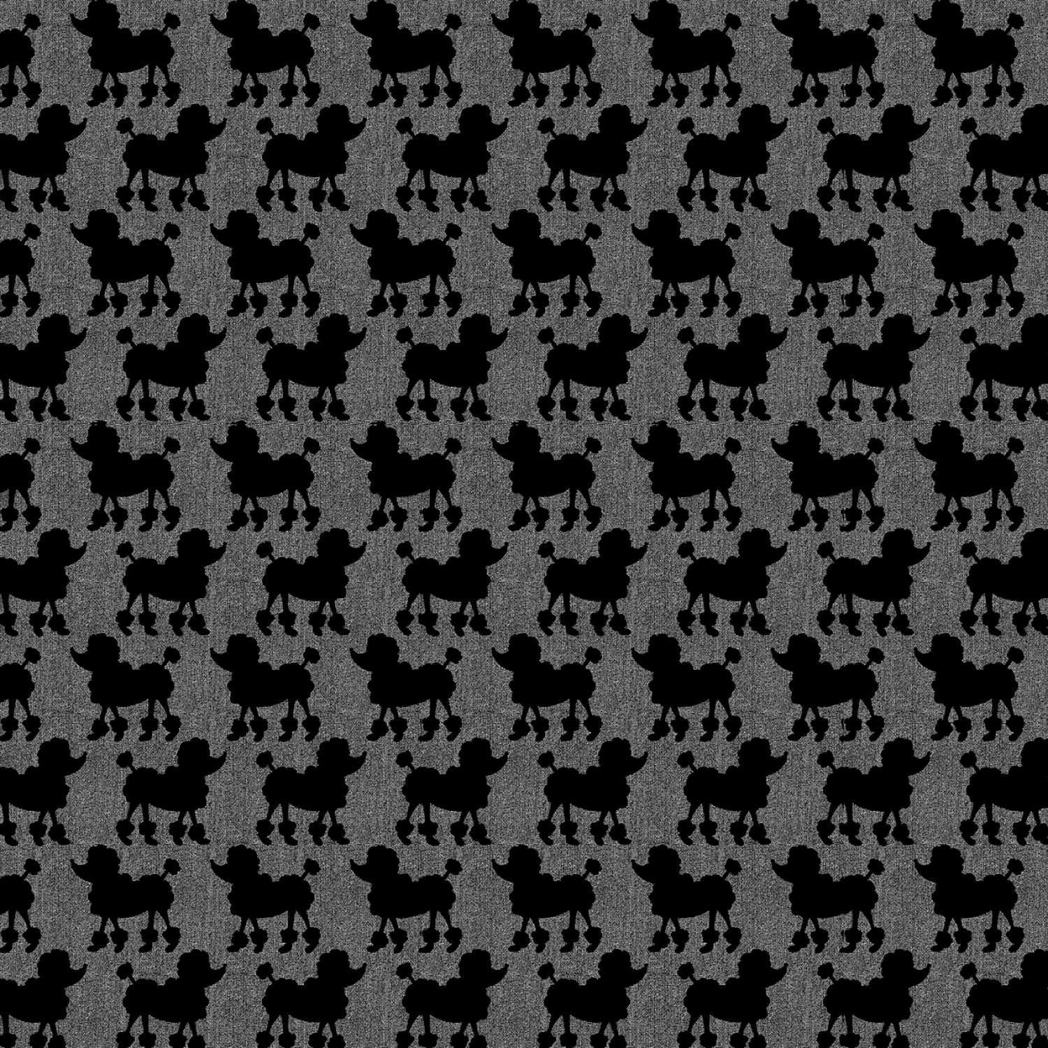 Bonjour - Grey Parisian Poodles On Textured Ground