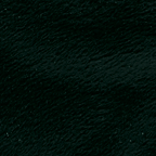 Benartex MINKEE blankee, green
