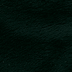 Benartex MINKEE blankee, green