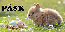 PÅSK