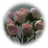 Rosenknoppar rosa 12 st - 2