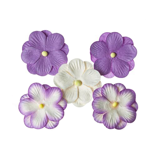Penséer lila 5 st, ScrapBerry